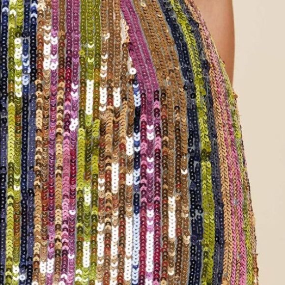 Hayden High-Rise Sequin Striped Mini Skirt - Picture 5 of 6